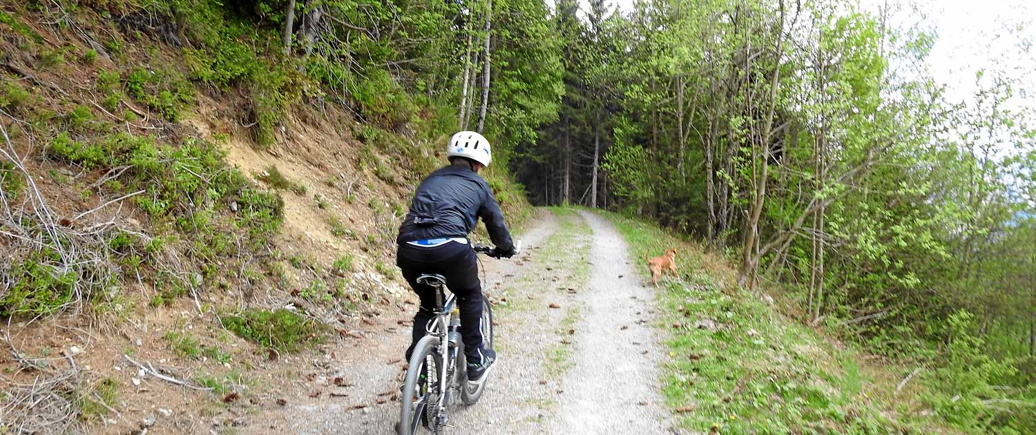 Biken mit Sunny