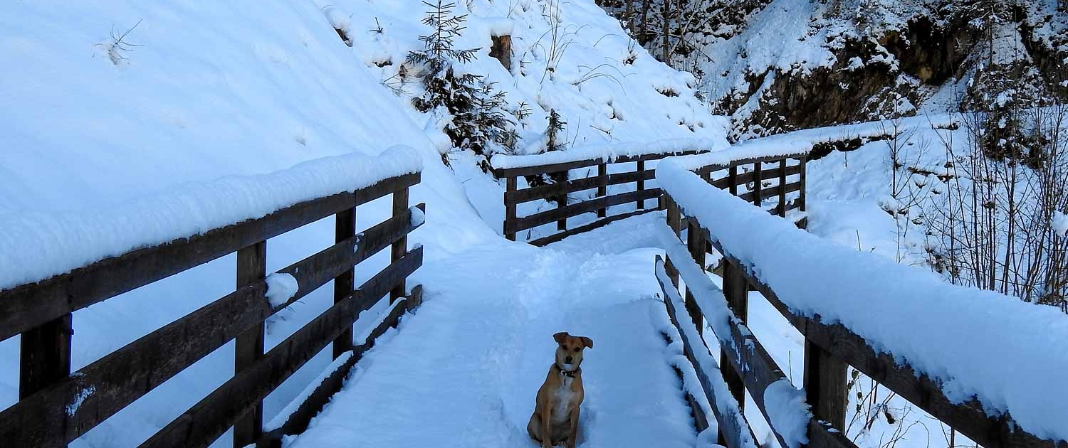 Winterlandschaft auf der Köhlergraben Promenade