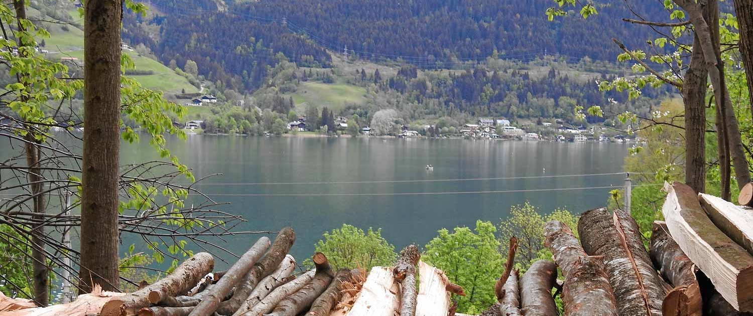 Blick auf den Zellersee