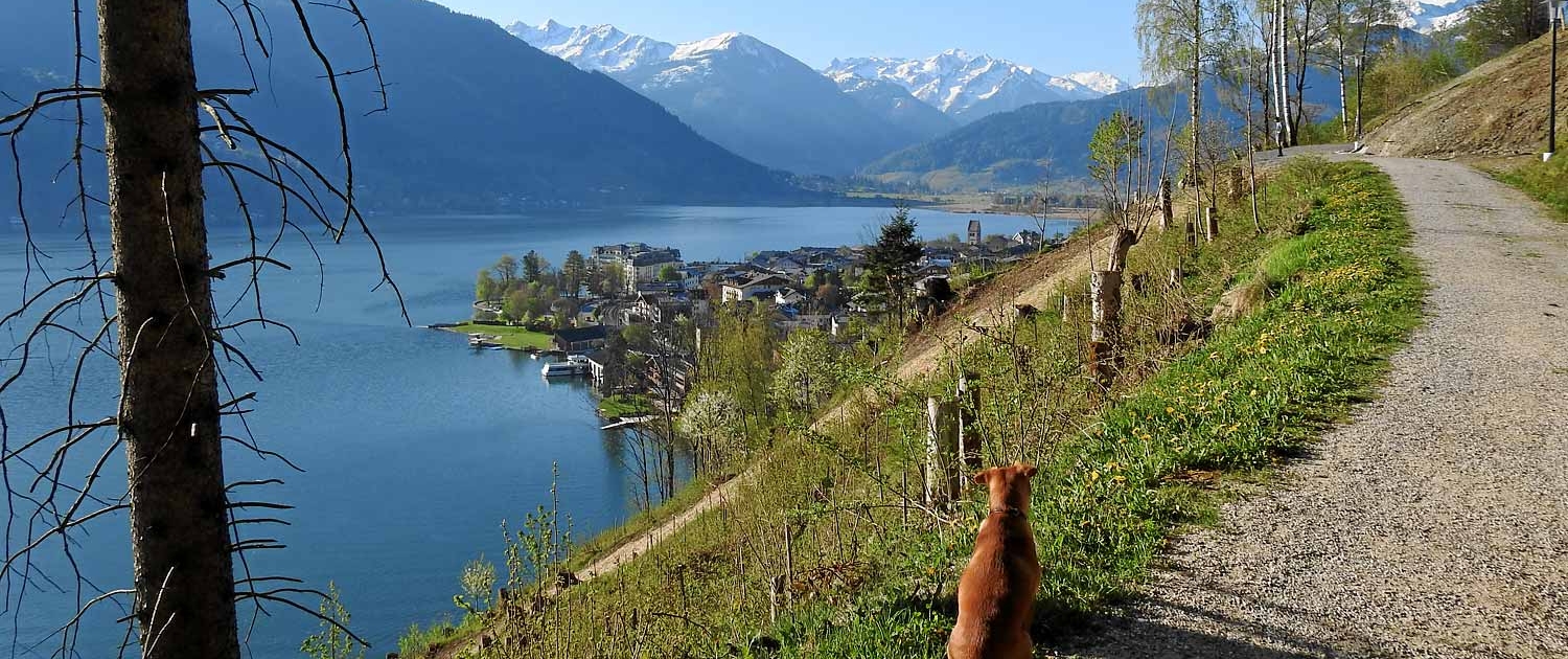 Blick von der Einödsiedlung auf den Zeller See