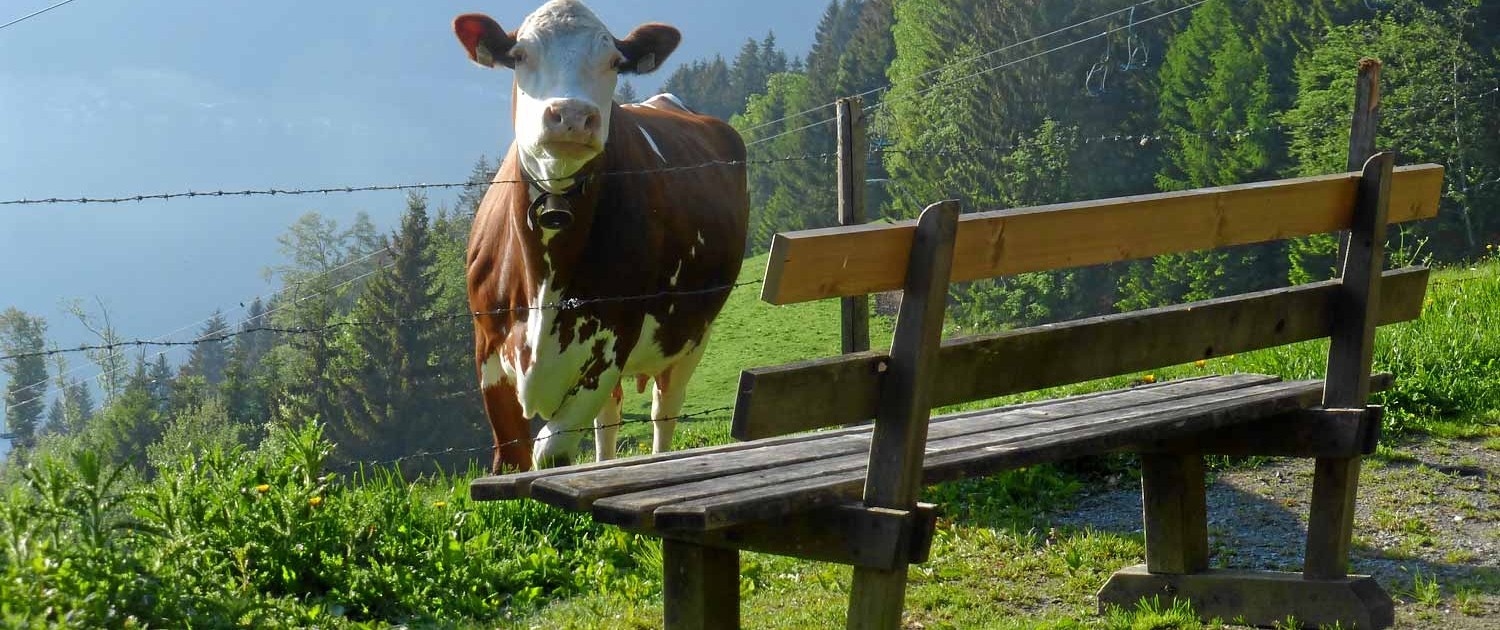 Eine Freundin getroffen auf den Weg zur Ebenbergalm